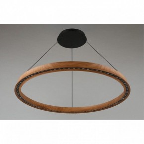 Подвесная люстра Aployt Justyna APL.787.03.75 в Покачах - pokachi.mebel24.online | фото 3