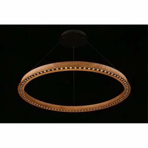 Подвесная люстра Aployt Justyna APL.787.03.75 в Покачах - pokachi.mebel24.online | фото 9