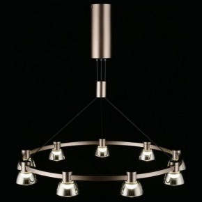 Подвесная люстра Aployt Rezeda APL.788.03.09 в Покачах - pokachi.mebel24.online | фото 12