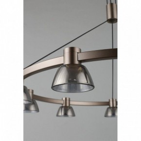 Подвесная люстра Aployt Rezeda APL.788.03.09 в Покачах - pokachi.mebel24.online | фото 14