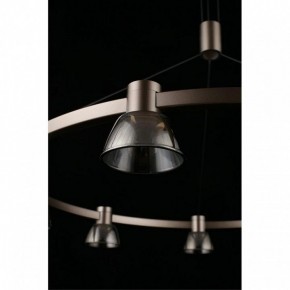 Подвесная люстра Aployt Rezeda APL.788.03.09 в Покачах - pokachi.mebel24.online | фото 16