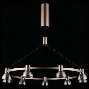 Подвесная люстра Aployt Rezeda APL.788.03.09 в Покачах - pokachi.mebel24.online | фото 6