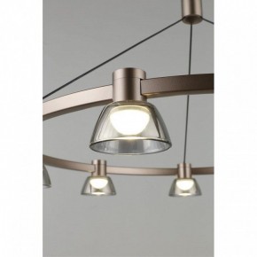 Подвесная люстра Aployt Rezeda APL.788.03.09 в Покачах - pokachi.mebel24.online | фото 8