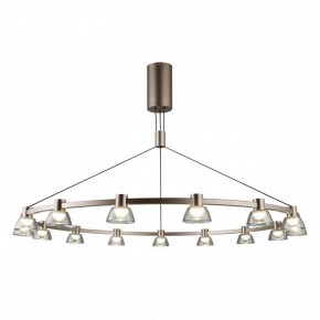 Подвесная люстра Aployt Rezeda APL.788.03.15 в Покачах - pokachi.mebel24.online | фото 2
