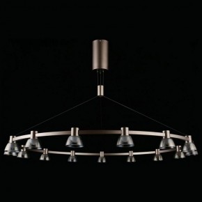 Подвесная люстра Aployt Rezeda APL.788.03.15 в Покачах - pokachi.mebel24.online | фото 7