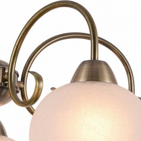 Подвесная люстра Arte Lamp Margo A9317LM-5AB в Покачах - pokachi.mebel24.online | фото 3