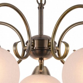 Подвесная люстра Arte Lamp Margo A9317LM-5AB в Покачах - pokachi.mebel24.online | фото 4