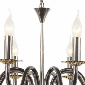 Подвесная люстра Arti Lampadari Pontone Pontone E 1.1.8 PB в Покачах - pokachi.mebel24.online | фото 3