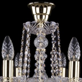 Подвесная люстра Bohemia Ivele Crystal 1402 1402/8/195/G/tube в Покачах - pokachi.mebel24.online | фото 4