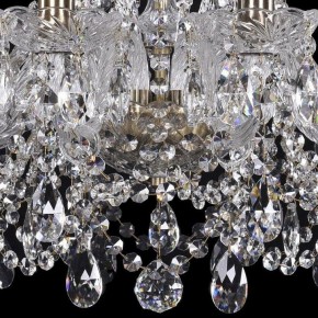 Подвесная люстра Bohemia Ivele Crystal 1411 1411/10/195/Pa в Покачах - pokachi.mebel24.online | фото 3