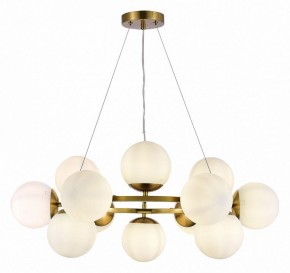 Подвесная люстра EVOLUCE Fratta SLE1191-203-12 в Покачах - pokachi.mebel24.online | фото 3