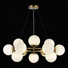 Подвесная люстра EVOLUCE Fratta SLE1191-203-12 в Покачах - pokachi.mebel24.online | фото 4