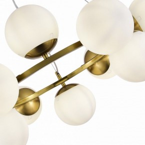 Подвесная люстра EVOLUCE Fratta SLE1191-203-12 в Покачах - pokachi.mebel24.online | фото 6