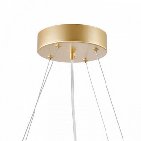 Подвесная люстра Favourite Asterismo 4448-6P в Покачах - pokachi.mebel24.online | фото 9