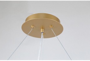 Подвесная люстра Favourite Ginkoa 4080-10P в Покачах - pokachi.mebel24.online | фото 9