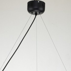 Подвесная люстра Favourite Light point 2997-6P в Покачах - pokachi.mebel24.online | фото 11