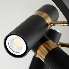 Подвесная люстра Favourite Light point 2997-9P в Покачах - pokachi.mebel24.online | фото 5