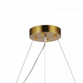 Подвесная люстра Favourite Magnitudo 2206-12P в Покачах - pokachi.mebel24.online | фото 7