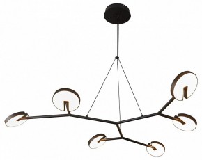 Подвесная люстра Favourite Paritet 4401-6P в Покачах - pokachi.mebel24.online | фото 2