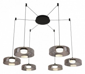 Подвесная люстра Favourite Platta 4490-6P в Покачах - pokachi.mebel24.online | фото