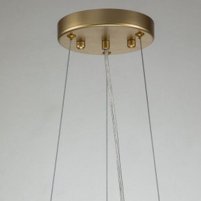 Подвесная люстра Favourite Rays 4058-14P в Покачах - pokachi.mebel24.online | фото 11