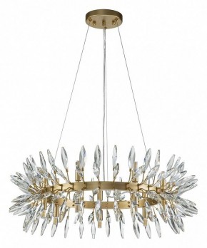 Подвесная люстра Favourite Rays 4058-14P в Покачах - pokachi.mebel24.online | фото 2