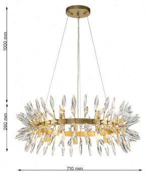 Подвесная люстра Favourite Rays 4058-14P в Покачах - pokachi.mebel24.online | фото 7