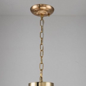 Подвесная люстра Favourite Rocca 2689-6P в Покачах - pokachi.mebel24.online | фото 4