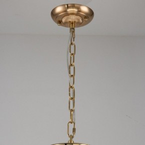 Подвесная люстра Favourite Rocca 2689-9P в Покачах - pokachi.mebel24.online | фото 2