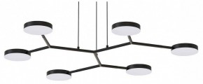 Подвесная люстра Favourite Vorago 4632-6P в Покачах - pokachi.mebel24.online | фото