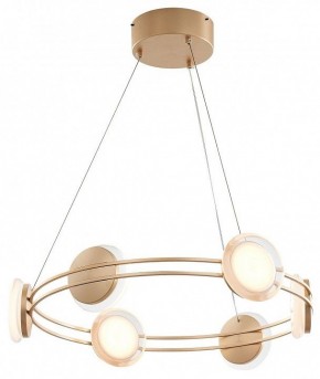 Подвесная люстра Favourite Yo-yo 4334-6P в Покачах - pokachi.mebel24.online | фото 2