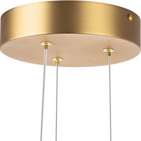 Подвесная люстра Lightstar Bergamo 745247 в Покачах - pokachi.mebel24.online | фото 6