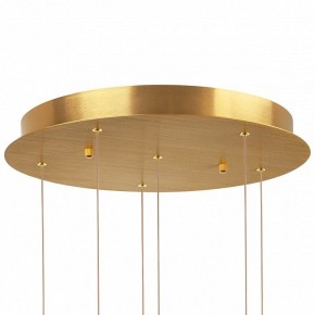 Подвесная люстра Lightstar Colore 805169 в Покачах - pokachi.mebel24.online | фото 6