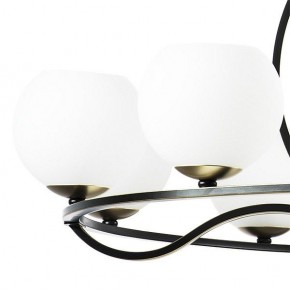 Подвесная люстра Lightstar Enna 762117 в Покачах - pokachi.mebel24.online | фото 4
