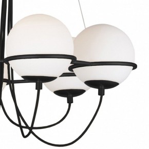 Подвесная люстра Lightstar Globo 803267 в Покачах - pokachi.mebel24.online | фото 5