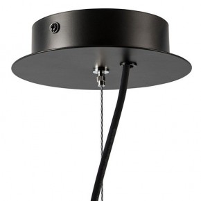 Подвесная люстра Lightstar Ragno 733247 в Покачах - pokachi.mebel24.online | фото 9