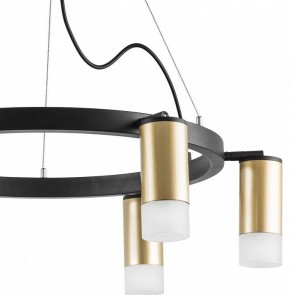 Подвесная люстра Lightstar Rullo LR0164061 в Покачах - pokachi.mebel24.online | фото 4