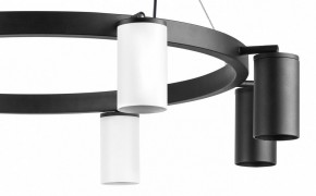Подвесная люстра Lightstar Rullo LR018364374 в Покачах - pokachi.mebel24.online | фото 5