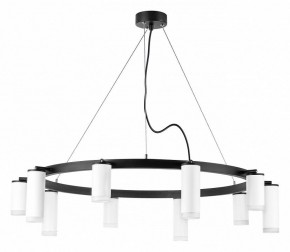 Подвесная люстра Lightstar Rullo LR0203658650 в Покачах - pokachi.mebel24.online | фото 2