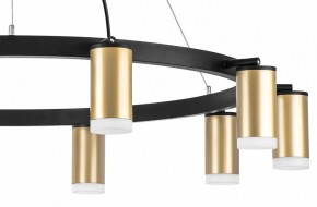 Подвесная люстра Lightstar Rullo LR0204000 в Покачах - pokachi.mebel24.online | фото 5