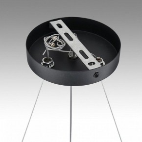 Подвесная люстра Lumion Luazana 8242/6 в Покачах - pokachi.mebel24.online | фото 7
