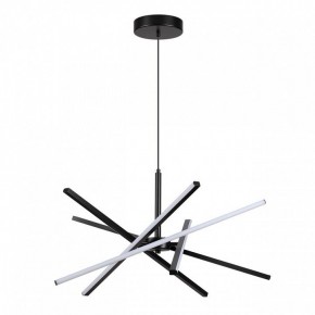 Подвесная люстра Lumion Parker 6563/60L в Покачах - pokachi.mebel24.online | фото 2