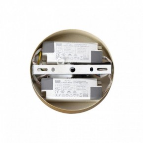 Подвесная люстра Lumion Parker 6564/60L в Покачах - pokachi.mebel24.online | фото 6