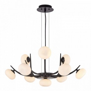 Подвесная люстра Lussole Blubber LSP-8937 в Покачах - pokachi.mebel24.online | фото 3