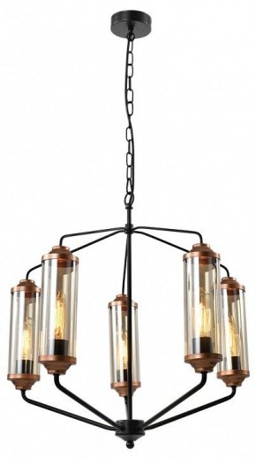 Подвесная люстра Lussole Fishers LSP-8800 в Покачах - pokachi.mebel24.online | фото 2