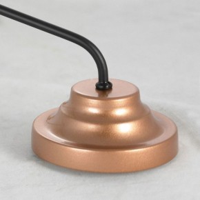 Подвесная люстра Lussole Fishers LSP-8800 в Покачах - pokachi.mebel24.online | фото 5