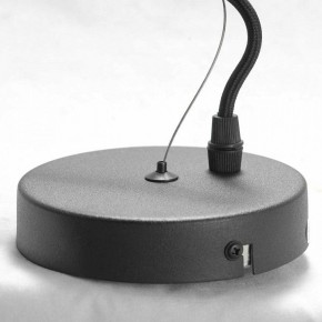 Подвесная люстра Lussole Huron LSP-8156 в Покачах - pokachi.mebel24.online | фото 7