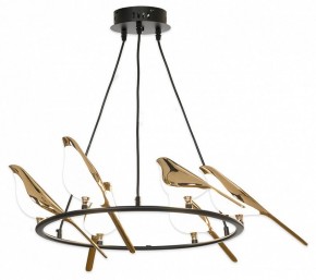 Подвесная люстра Lussole Jasper LSP-8641 в Покачах - pokachi.mebel24.online | фото 2