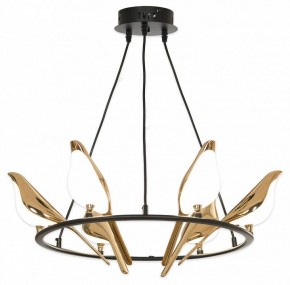 Подвесная люстра Lussole Jasper LSP-8641 в Покачах - pokachi.mebel24.online | фото 4
