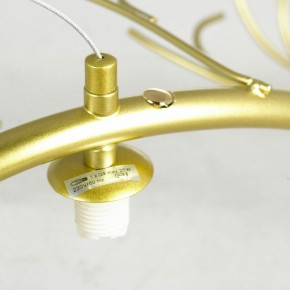 Подвесная люстра Lussole LSP-874 LSP-8749 в Покачах - pokachi.mebel24.online | фото 6